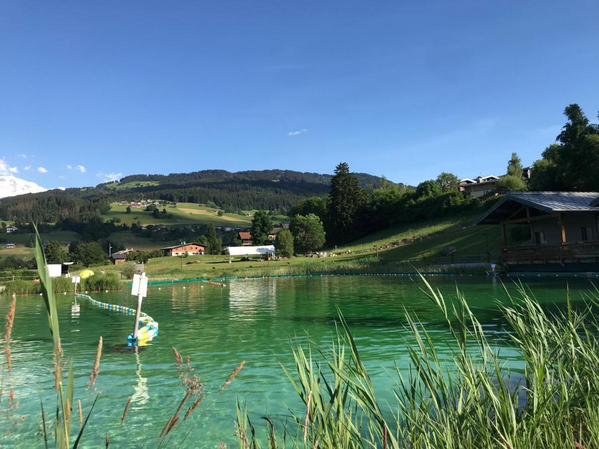 Nid Douillet à la Louvée Combloux Exterior foto